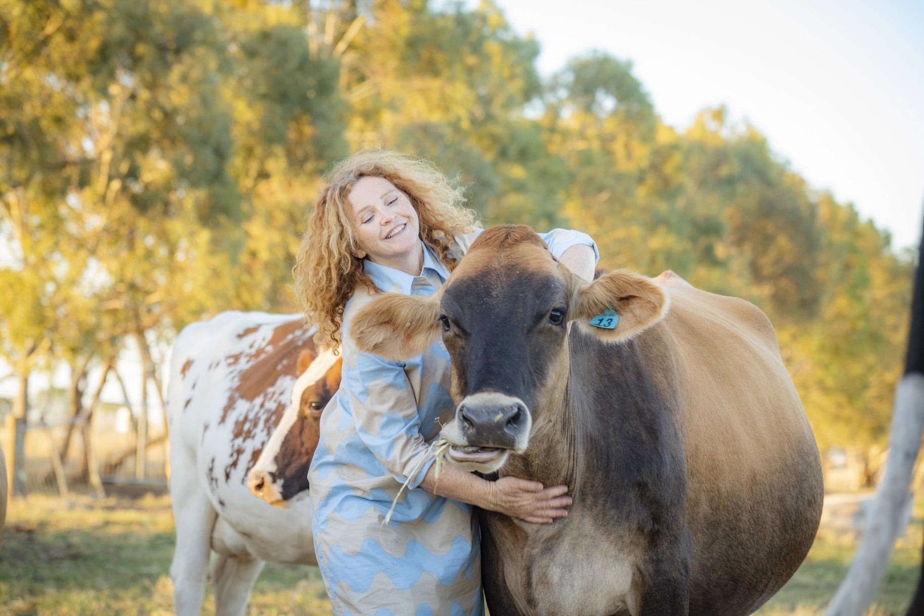 how-now-dairy.webp